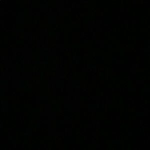 Meet your Posher, Marlon